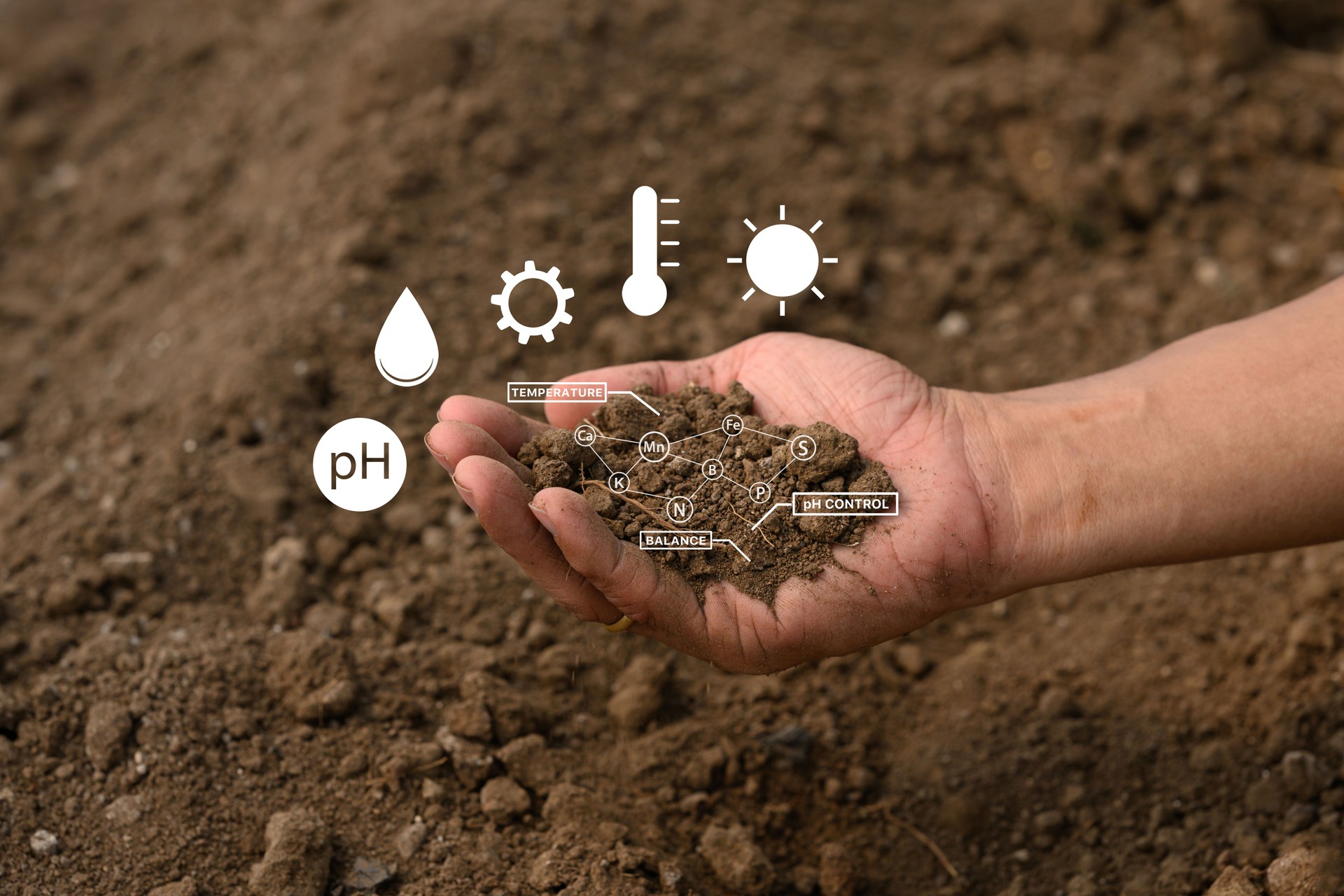 Hand holding soil with virtual interface displaying crucial data on nutrients, temperature, pH and moisture Hand holding soil with virtual interface displaying crucial data on nutrients, temperature, pH and moisture